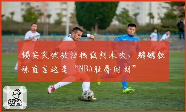 锡安突破被拉拽裁判未吹，鹈鹕教练直言这是“NBA耻辱时刻”