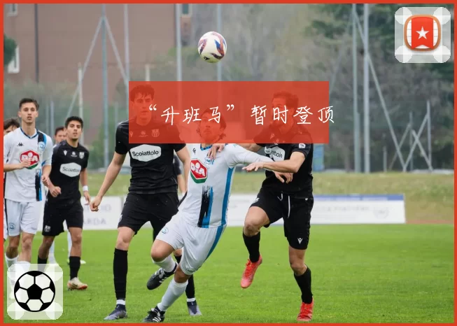 “升班马”暂时登顶