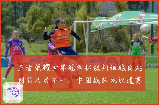 王者荣耀世界冠军杯裁判组越南站判罚尺度不一，中国战队抗议遭赛事方冷处理