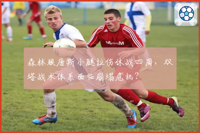 森林狼唐斯小腿拉伤休战四周,双塔战术体系面临崩塌危机?