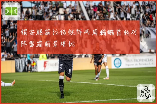 锡安腿筋拉伤缺阵两周鹈鹕首轮对阵雷霆前景堪忧
