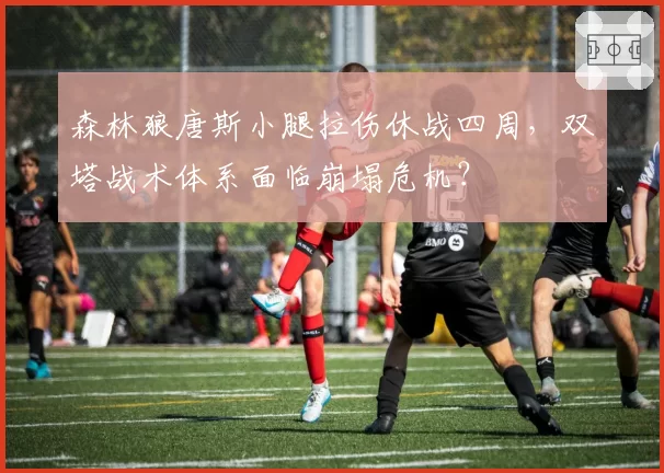 森林狼唐斯小腿拉伤休战四周,双塔战术体系面临崩塌危机?