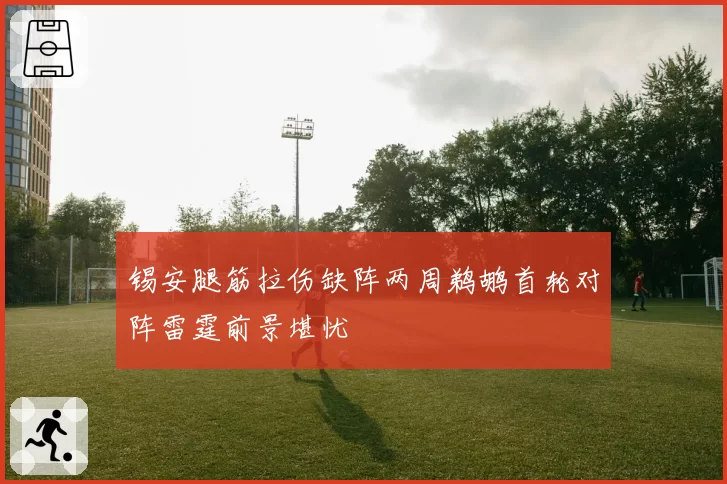 锡安腿筋拉伤缺阵两周鹈鹕首轮对阵雷霆前景堪忧